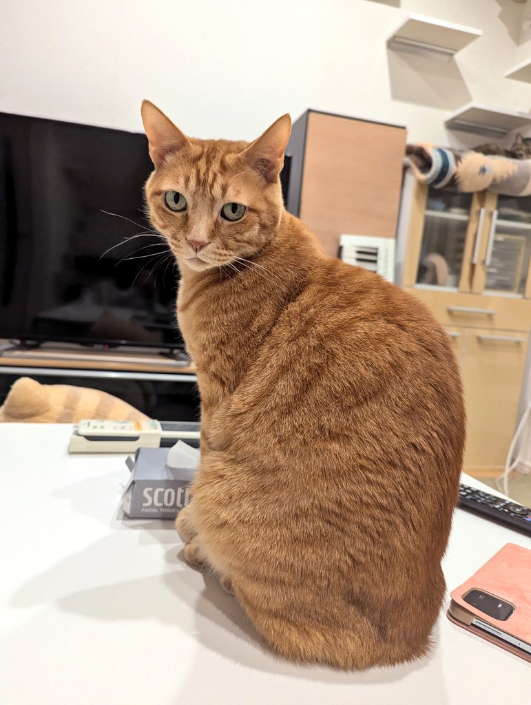 ゆあ ｜ ライター🖊 (@yunc24291) / Posts / X