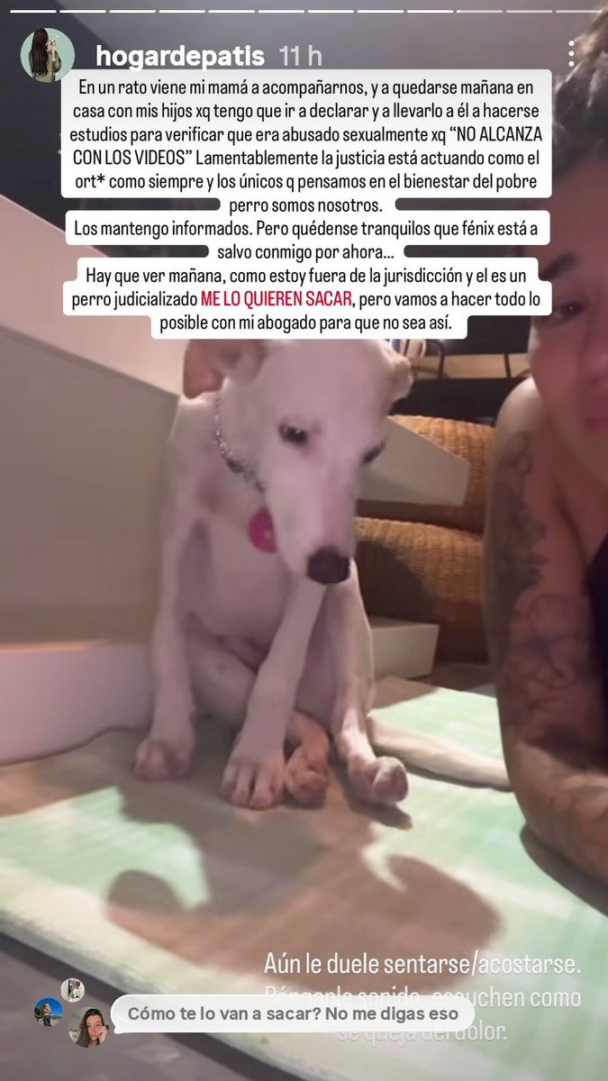CASO EXTREMO PARTE 8:
PERRITO VIOLADO.
El caso de FENIX está judicializado y la chica que lo está cuidando teme que la  Justicia quieta quitárselo.
TENEMOS QUE DIFUNDIR PARA IMPEDIRLO.
FENIX NO PUEDE VOLVER A ESE  INFIERNO! 
QUE EXPLOTEN LAS REDES!