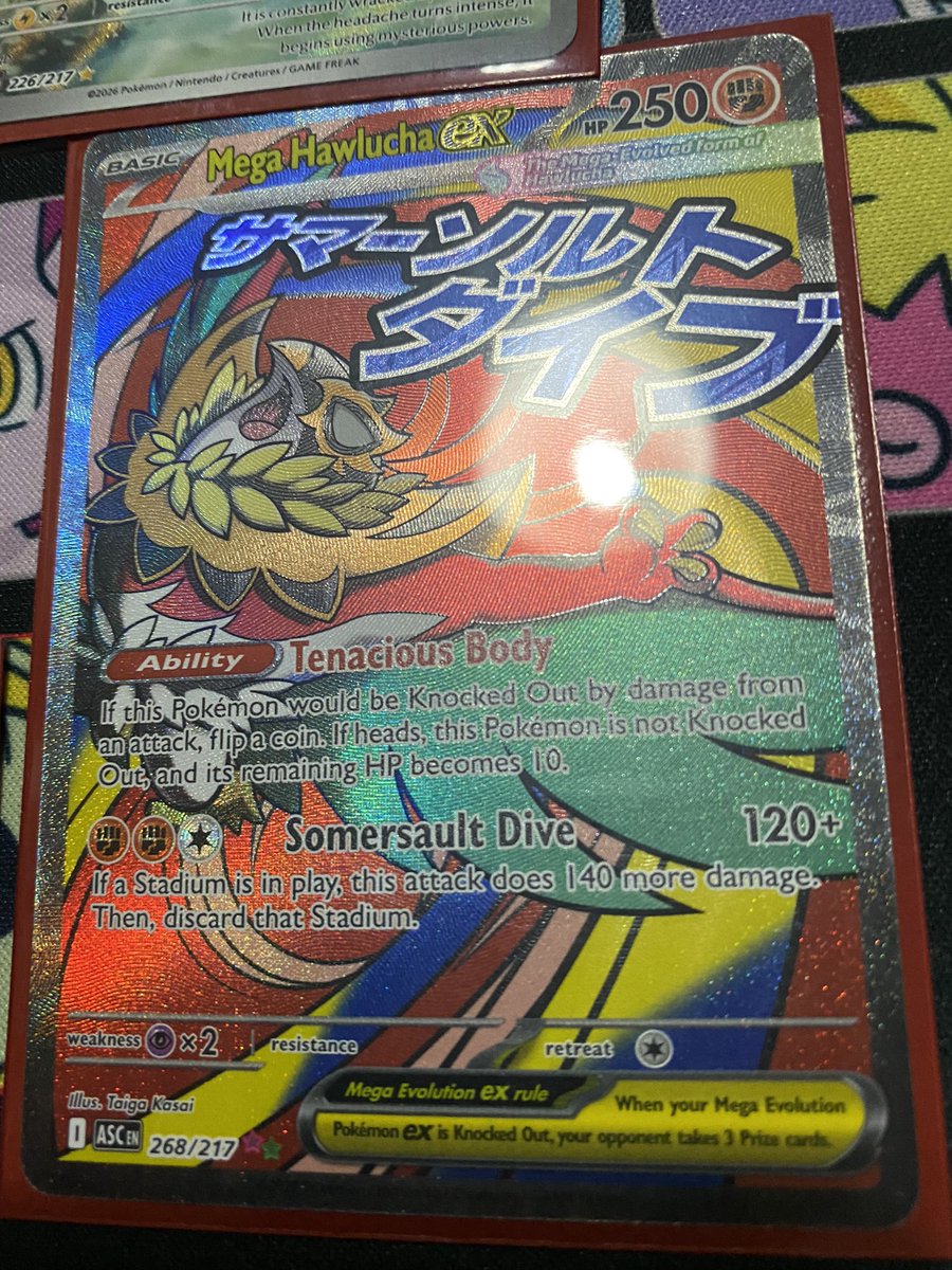 Elo Copper ⏳ tweet media