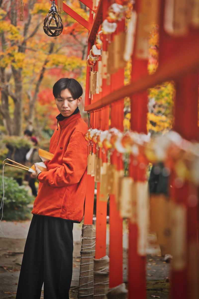 ちきぽとれ tweet media