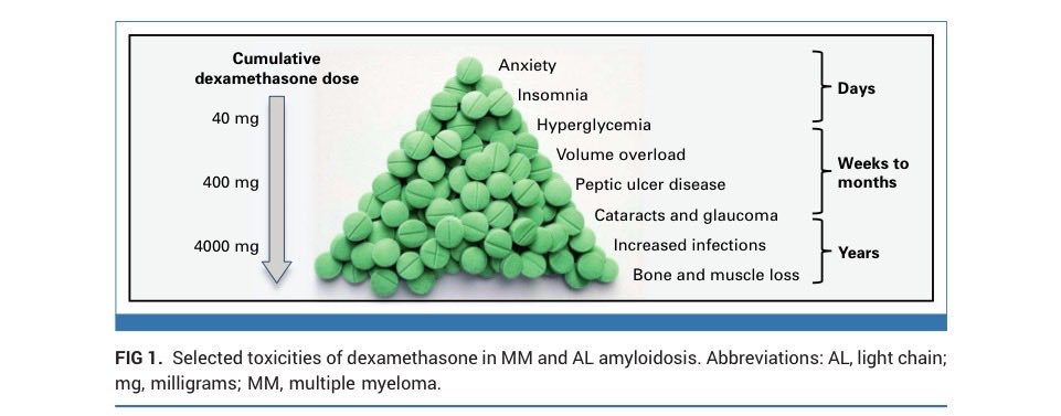 HadidiSamer's tweet photo. Past, Present, and Future of Dexamethasone in Multiple Myeloma and AL Amyloidosis | Journal of Clinical Oncology #mmsm @JCO_ASCO @RahulBanerjeeMD @Bethfaiman @vsanchorawala @jmikhaelmd 

Nice article on the role of steroids in myeloma and AL amyloidosis. I think this likely apply to other medications were we may need to dose reduce or treat for a fixed duration of time 

➡️https://t.co/J7iQCEtWKL