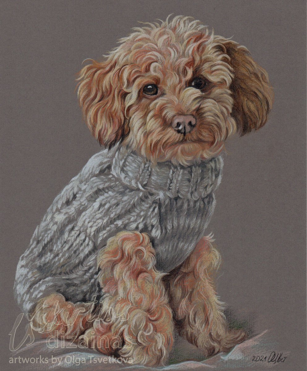 Olga54766484's tweet image. #dog #poodle Следующие на П - это пудели