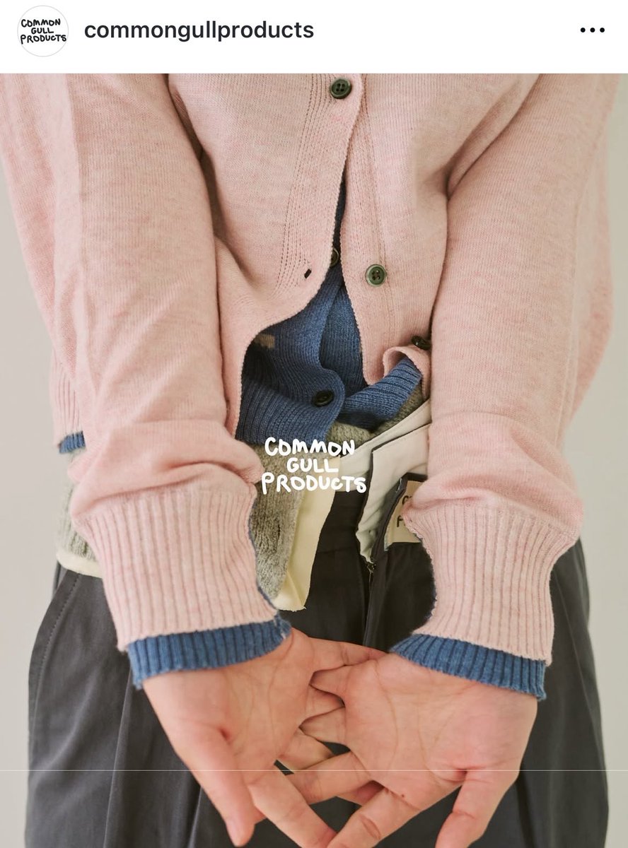 gull (@commongull_p) / Posts / X