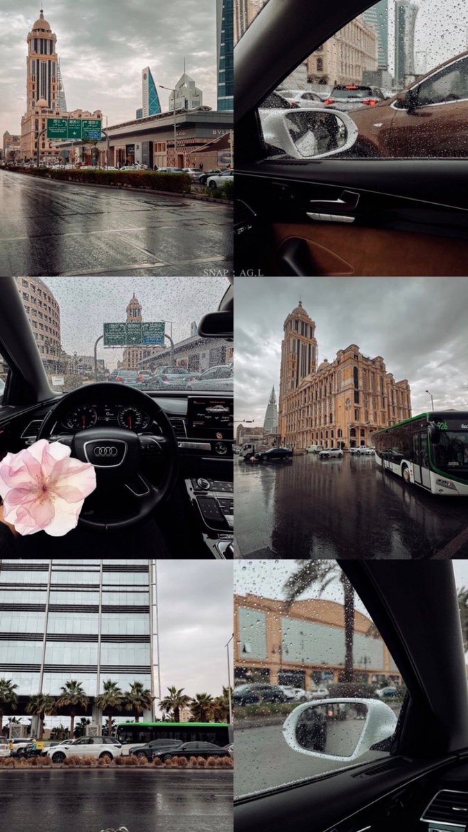 نداء بنت عبدالعزيز السديري🇸🇦 tweet media