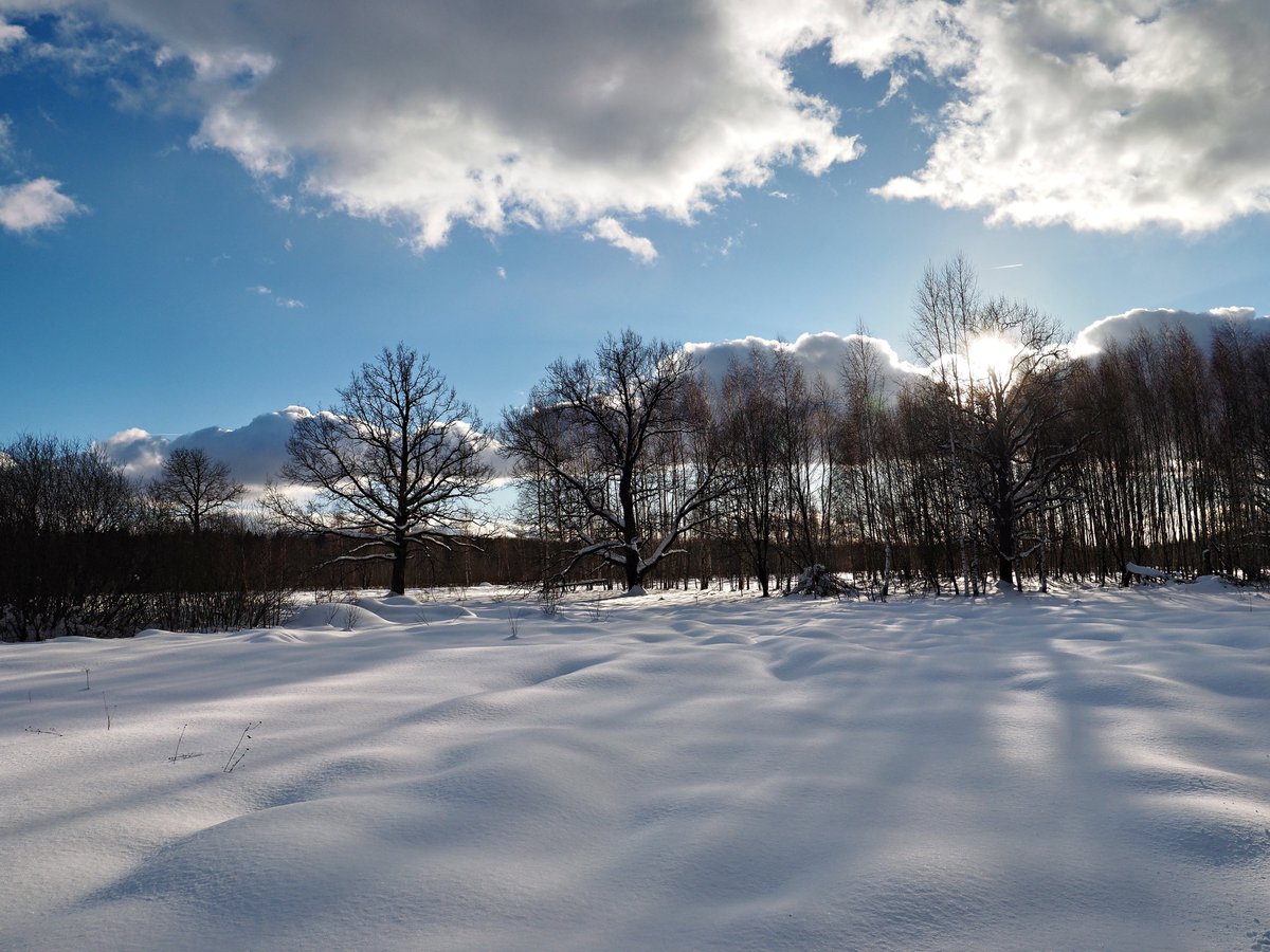 PEKHTography's tweet image. Winter's logic: 
It'll freeze your toes off and bury your car, 
but then gift-wrap the entire world in diamond sparkles just for the 'gram. 
Can't even be mad. 
Just knee-deep in awe. 😂❄️✨
#WinterWonderland #ColdWeatherFun #SunOnSnow #CrispJoy