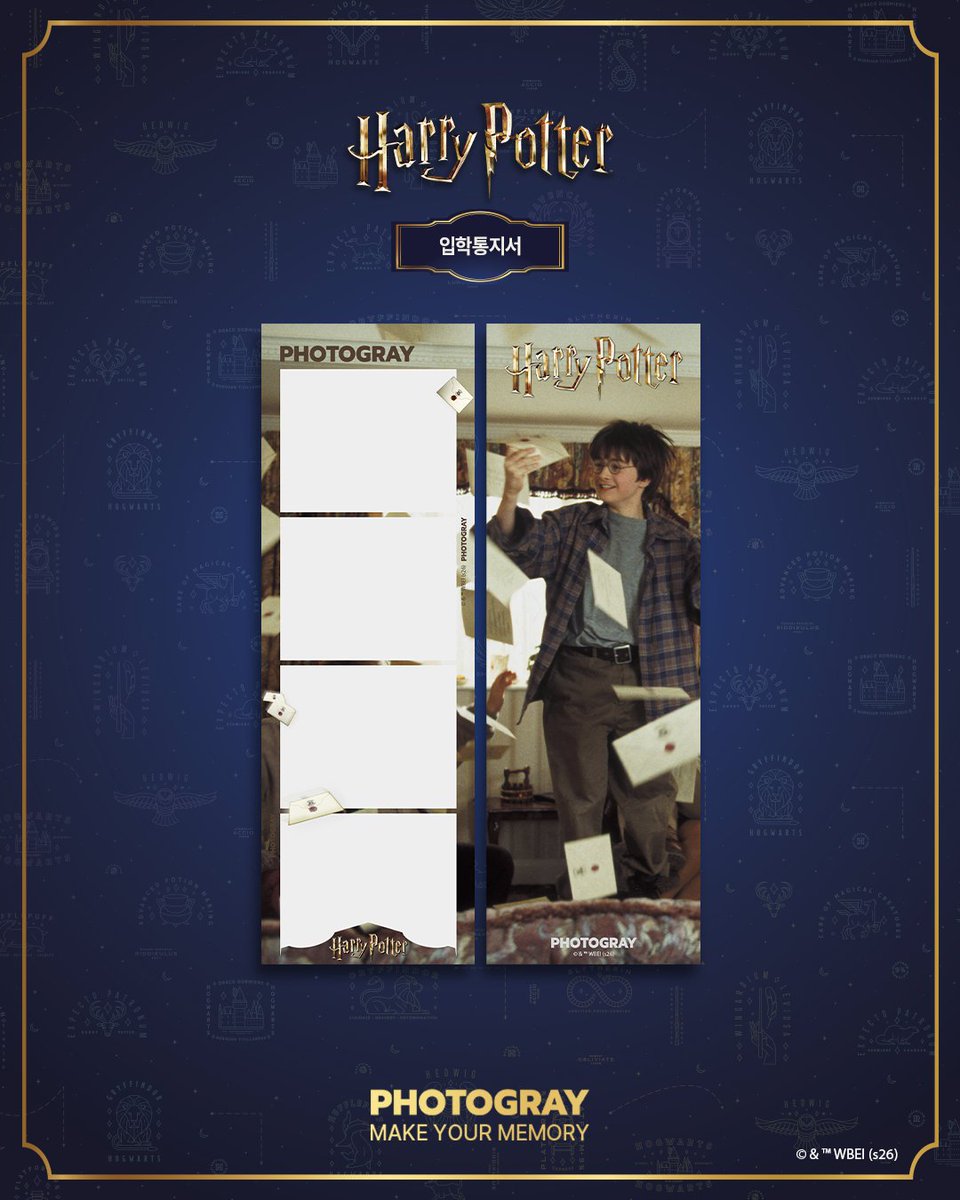 포토그레이 tweet media