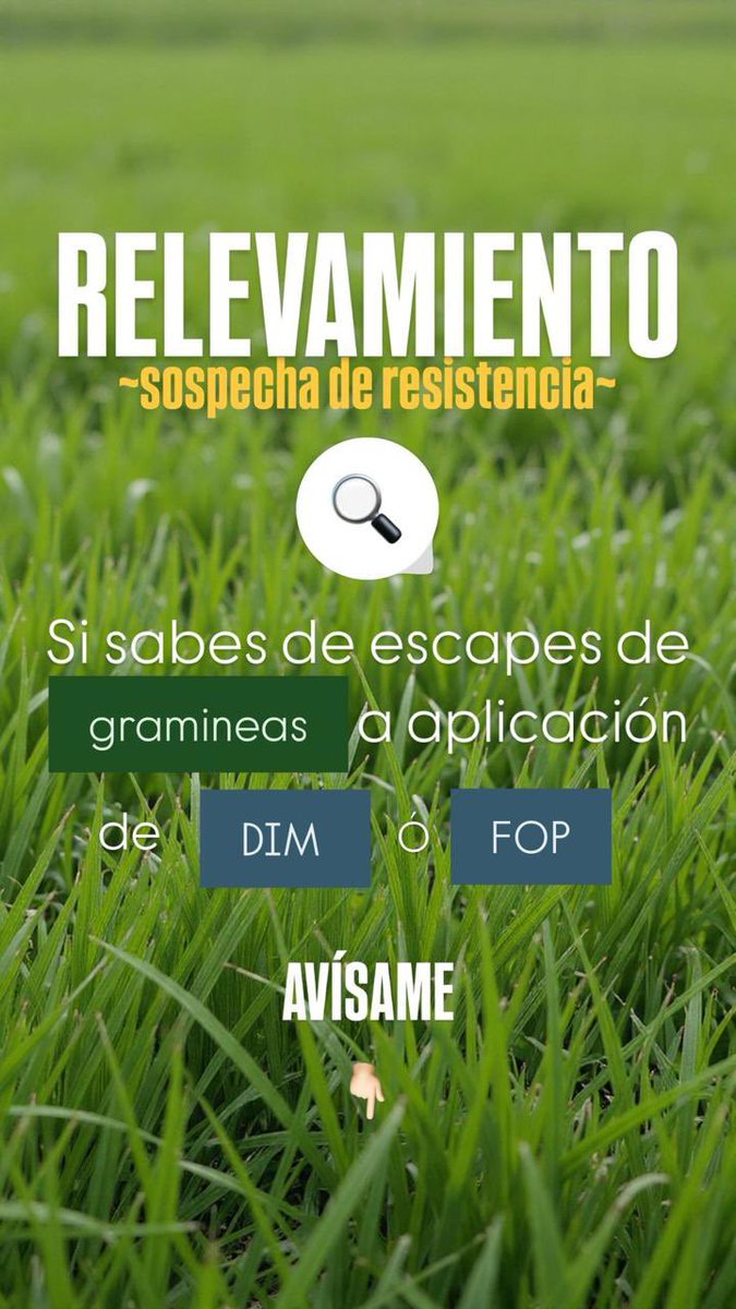 Diego Cogno 🌱☀️🇦🇷🐂🌎 tweet media