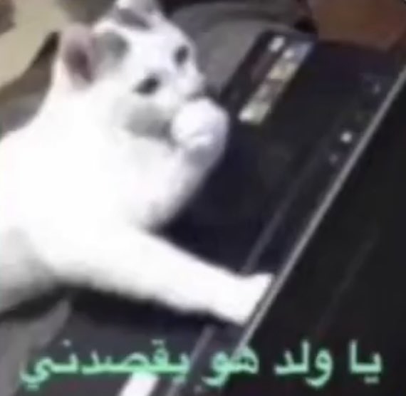 الله يجبر بخاطركم 🙏🏻🙏🏻🙏🏻🙏🏻🙏🏻