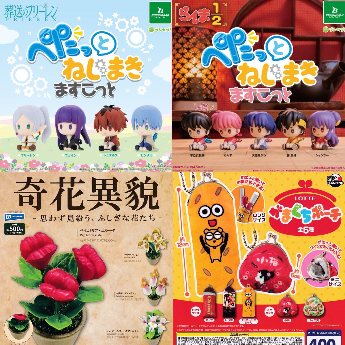 ①12種入荷しました