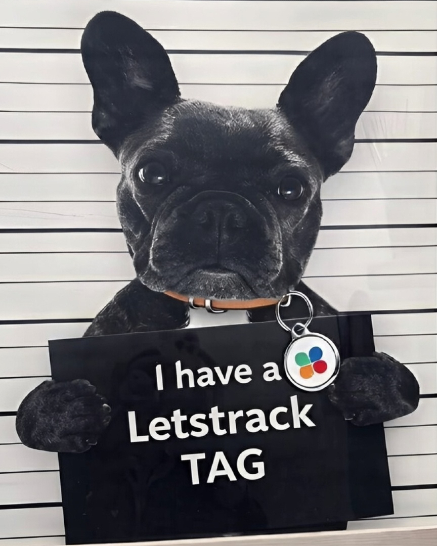 Letstrack India tweet media
