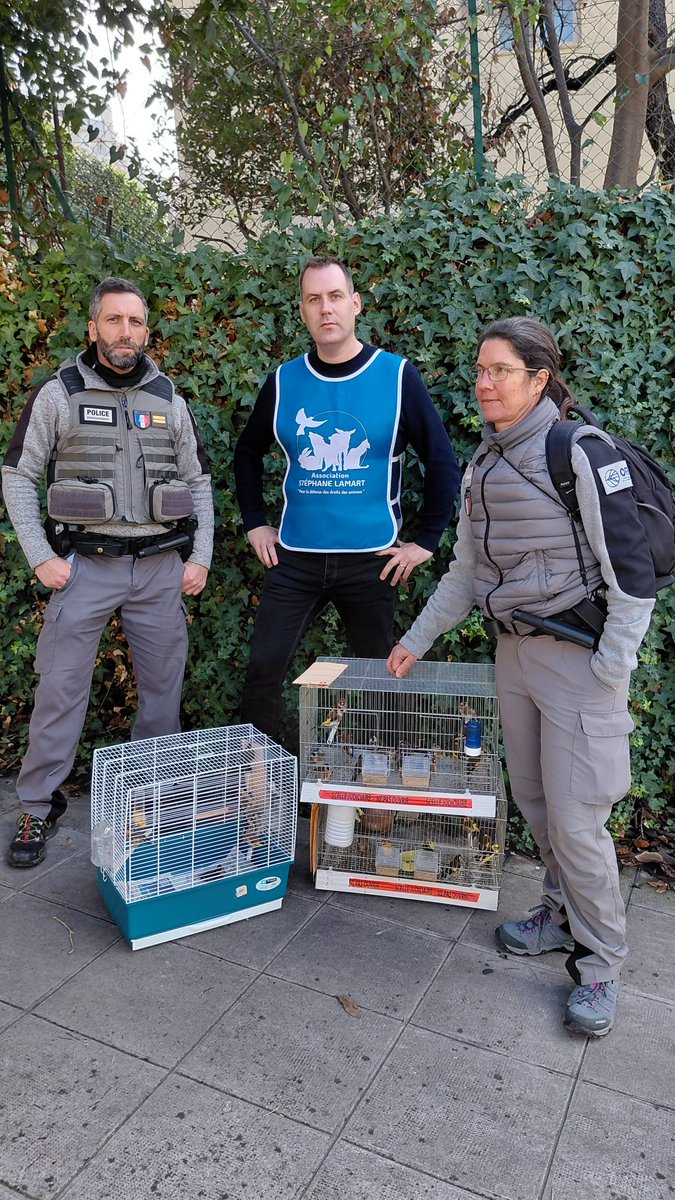 Association Stéphane Lamart tweet media