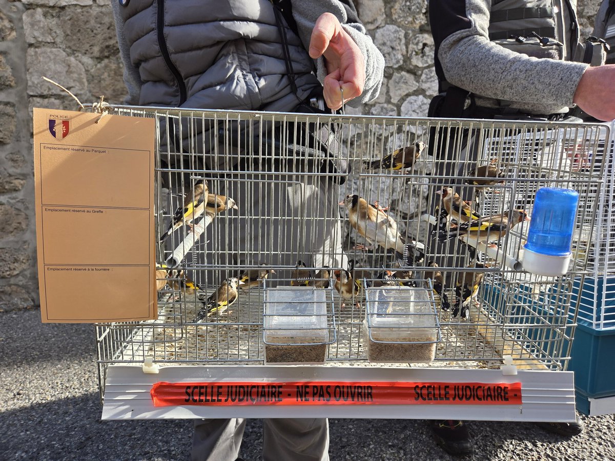 Association Stéphane Lamart tweet media