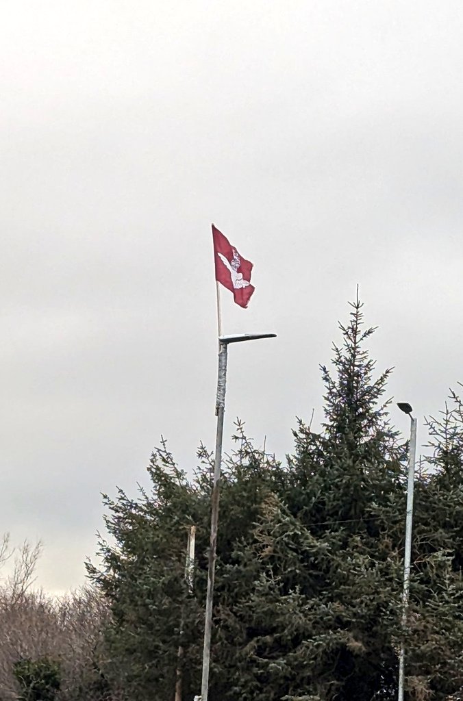 Pearse Mac tweet media