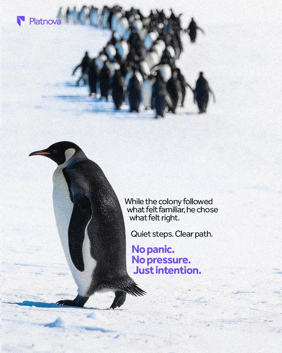 Platnova tweet media