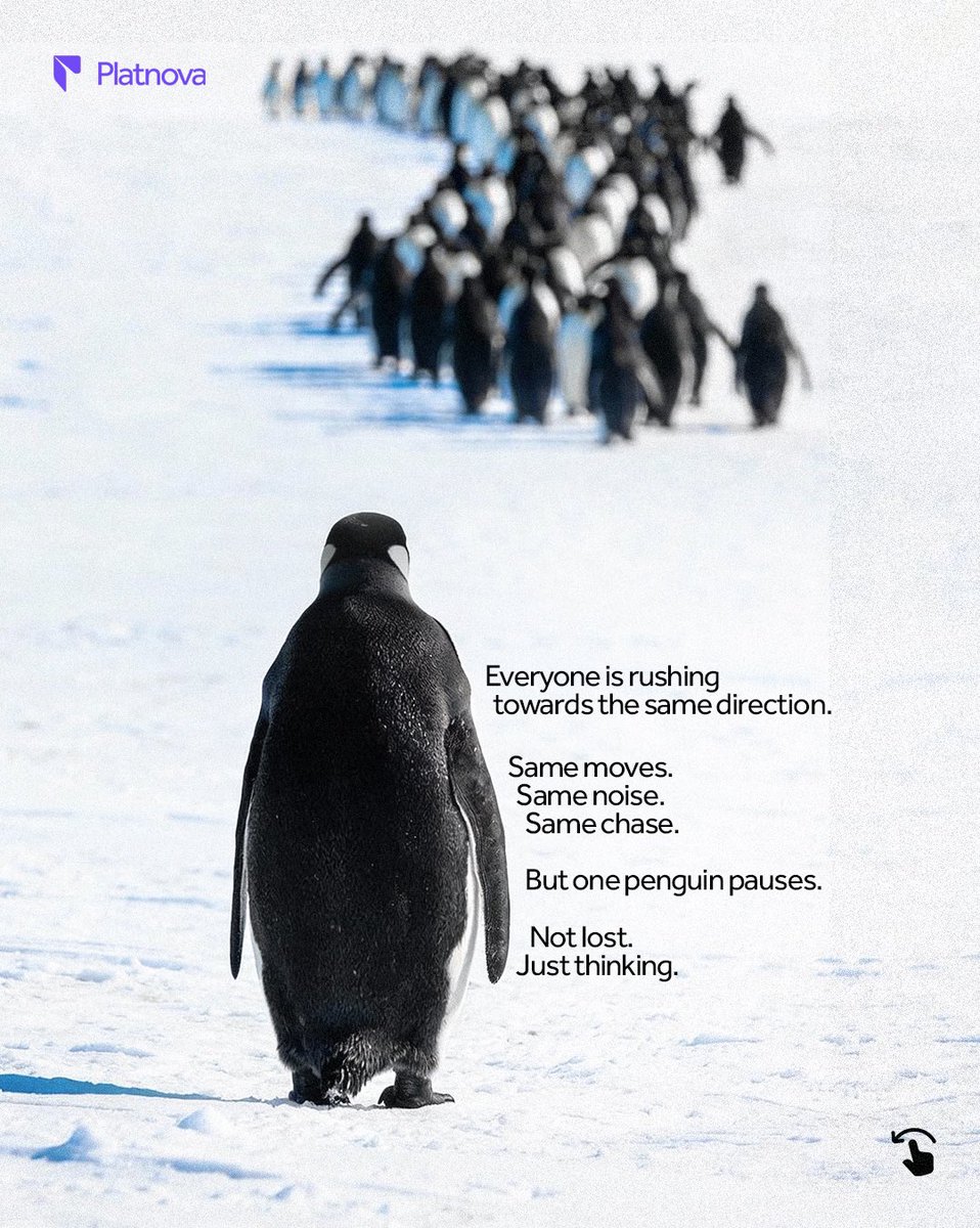 Platnova tweet media