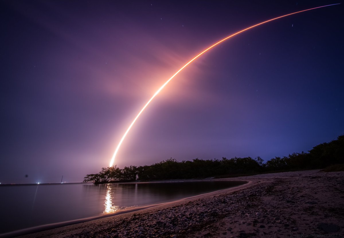 Ryan Rose tweet media