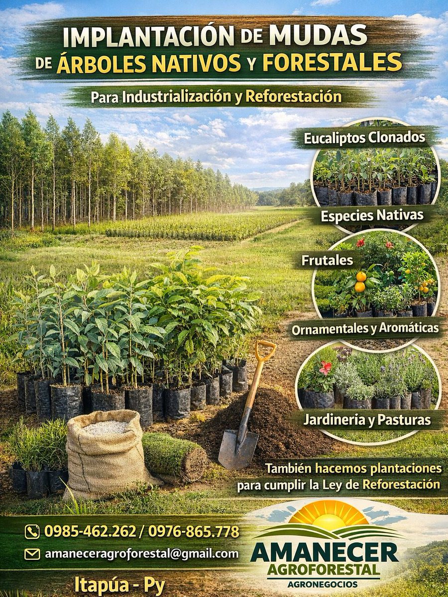 AAgroforestal's tweet photo. https://t.co/t2iwdiBGup