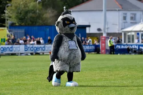 DragonSports tweet media