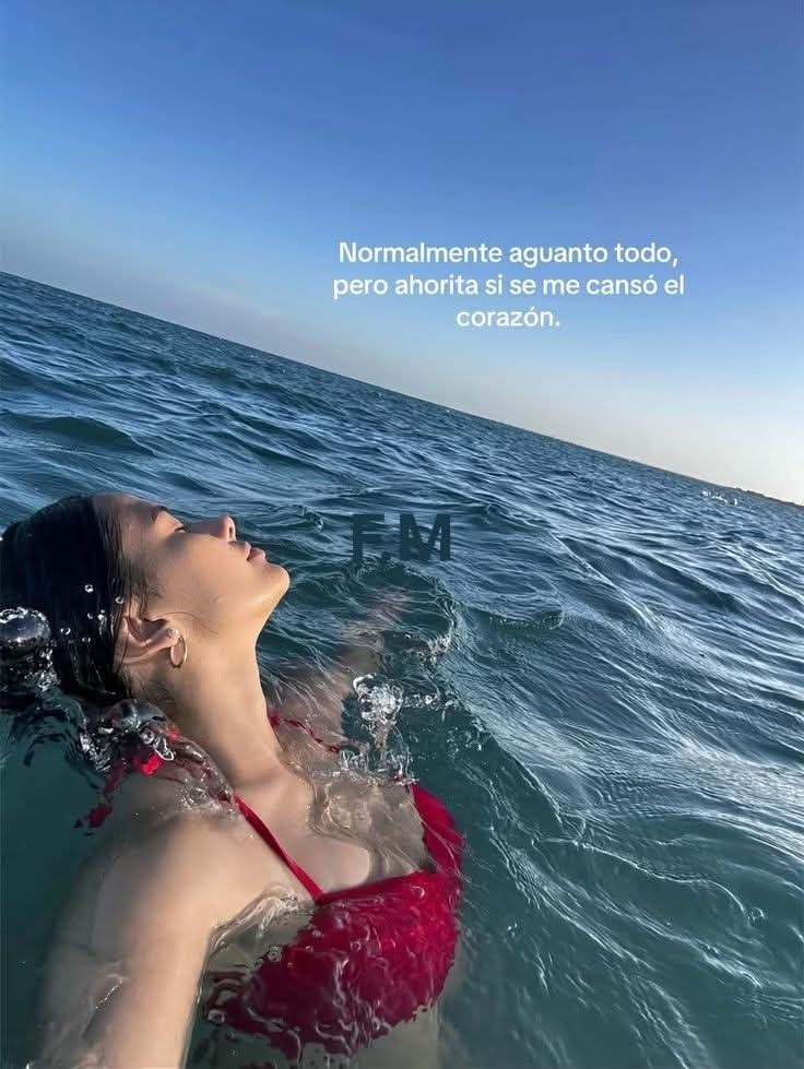 Andromeda 🪐 (@andromeda_no) on Twitter photo 