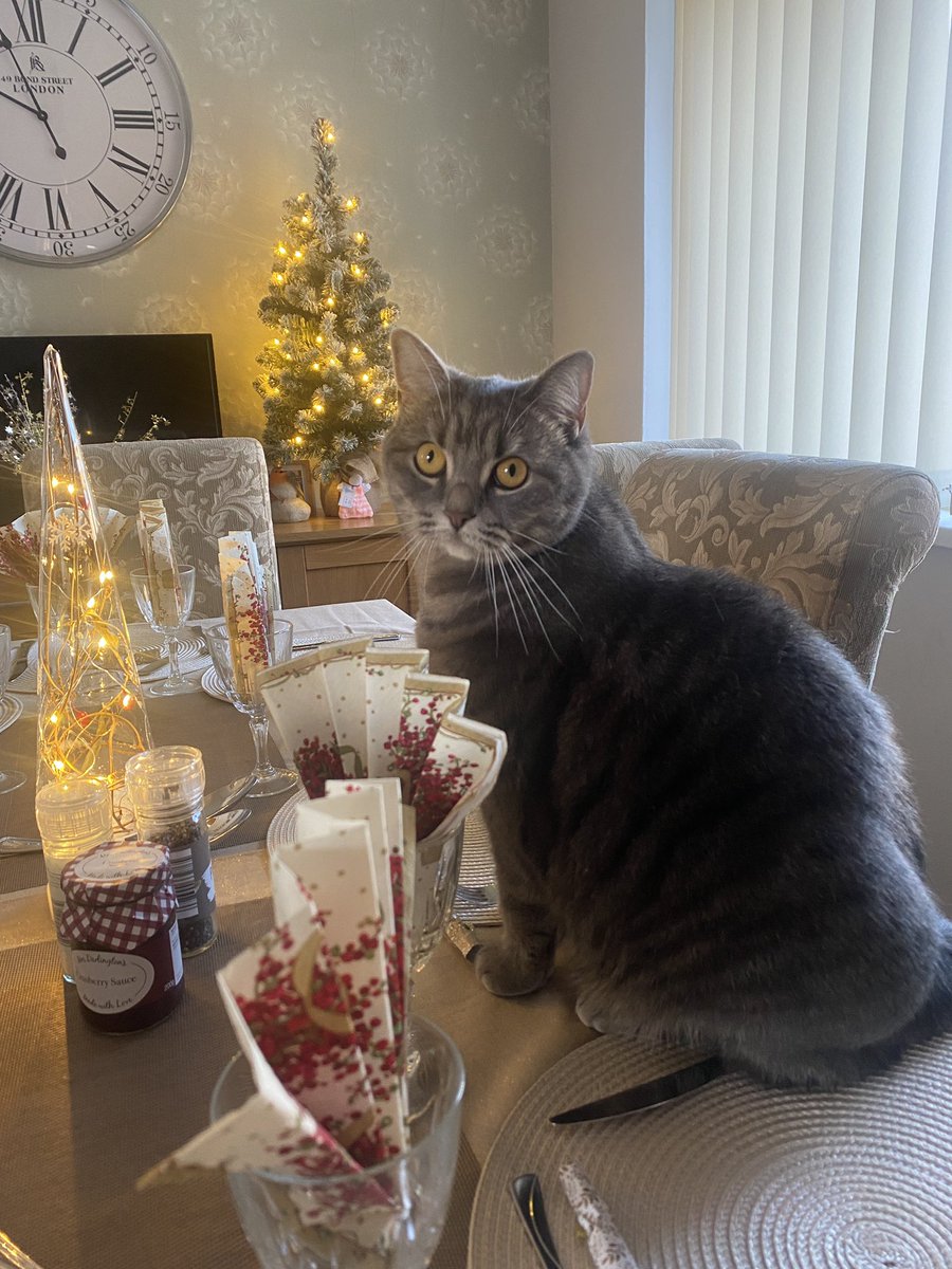 Mark Saltern #RyansLaw ⚖ #RysHaven 🕊 tweet media