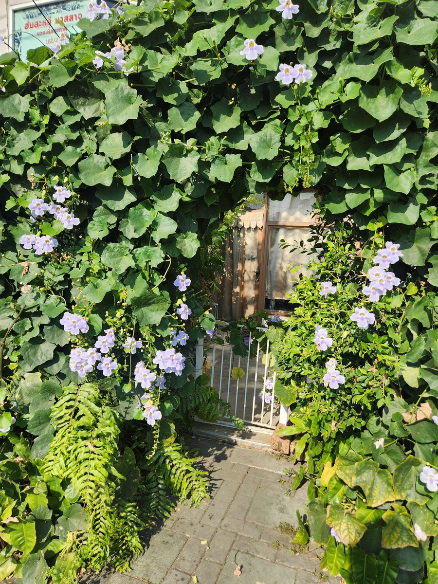 날씨가 선선해서 놀기 너무 좋아요
아니 동남아 날씨가 이렇게 좋다고??