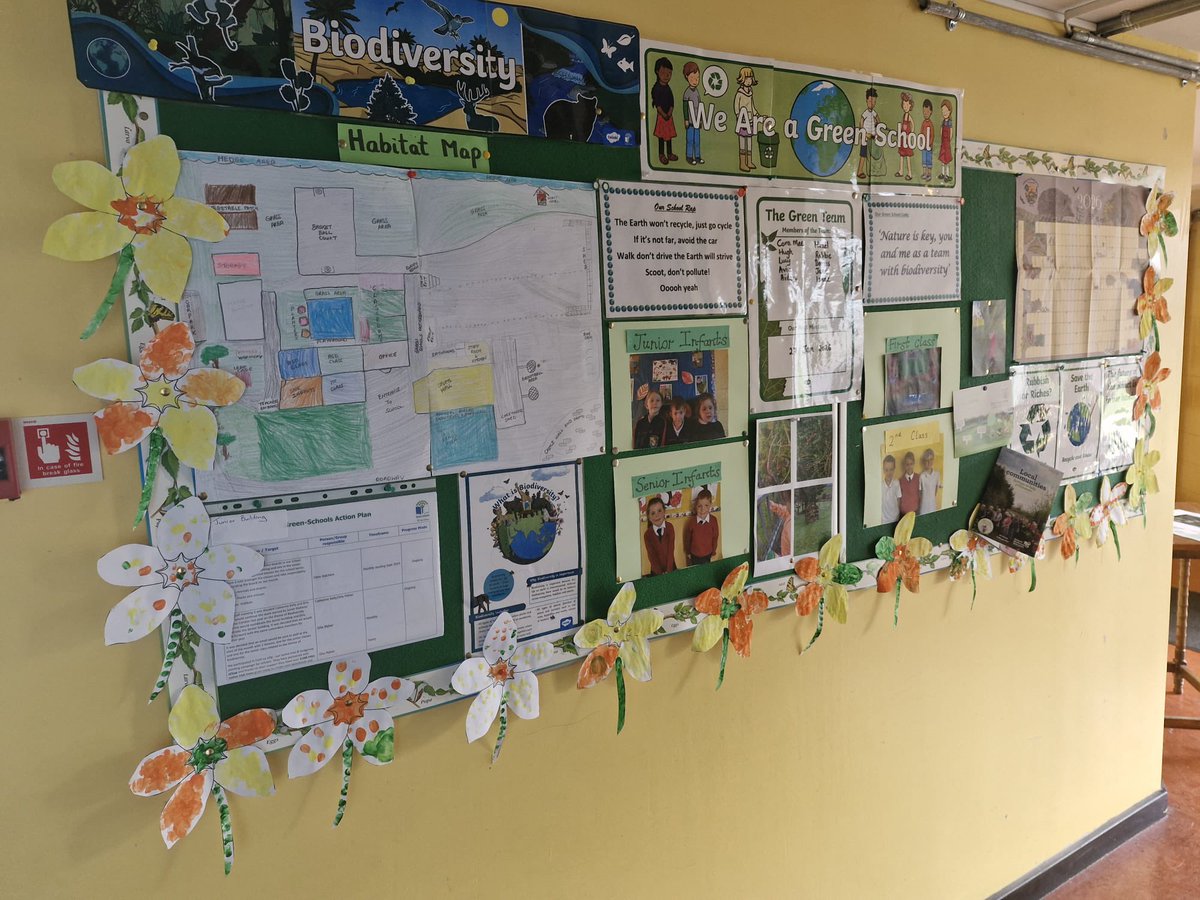 Ballyragget N.S. tweet media