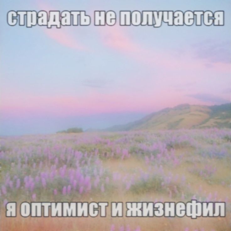 дыняня tweet media