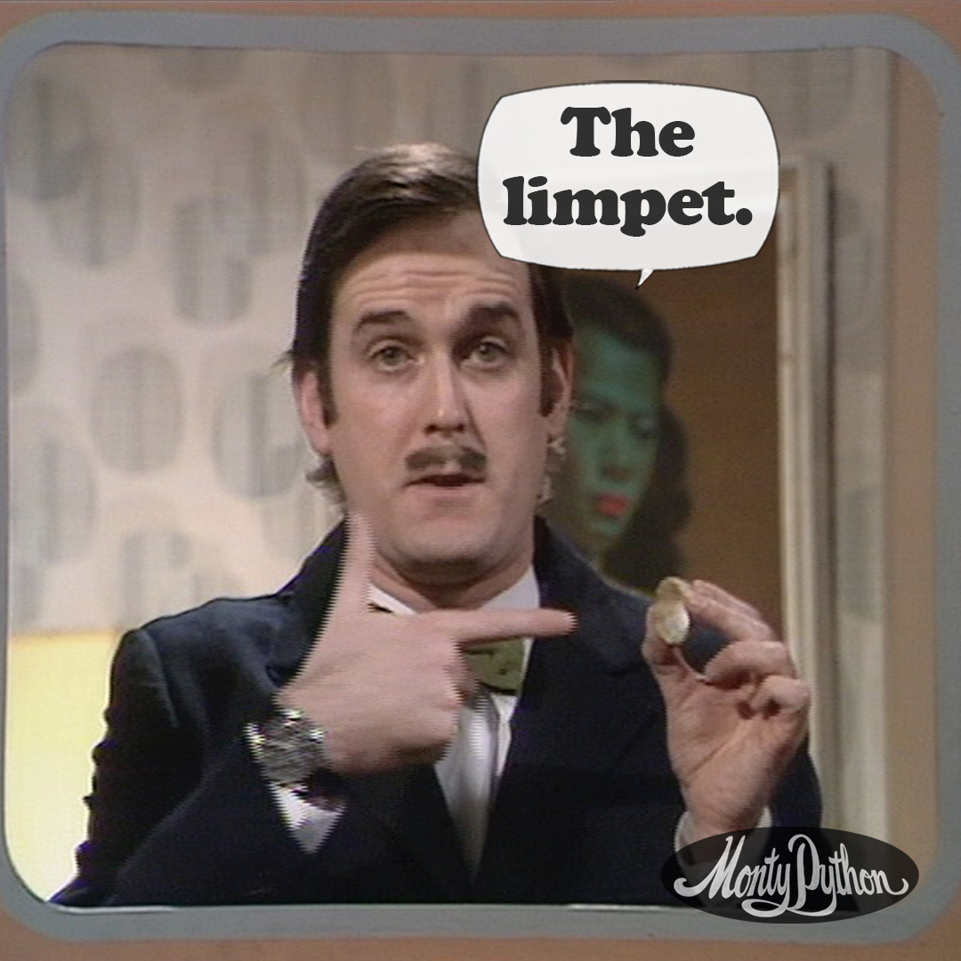 Monty Python tweet media