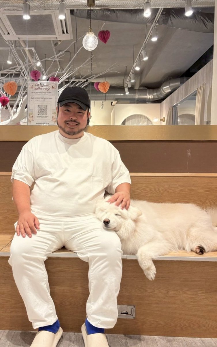 けんご tweet media