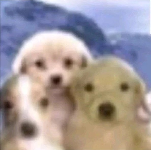 clara gee ★ (blue’s version) (@missydelicate) on Twitter photo 