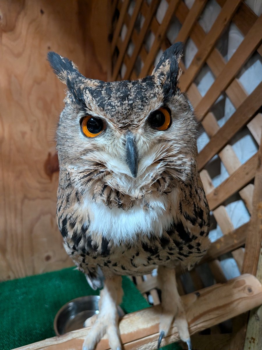 ただいま〜。ご飯持ってくるから、もう少し待っててね