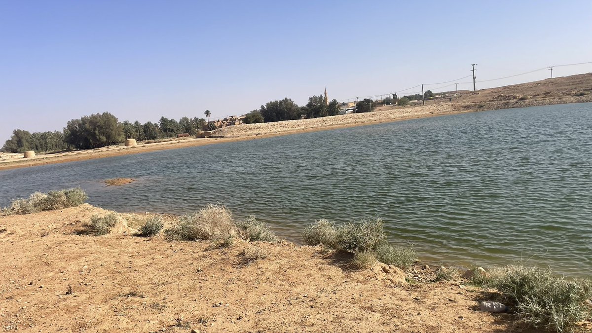 nasseralyousaf's tweet photo. على ضفاف بحيرة مدرج الرويضة .. حيث تلتقي أرض الكرم والجود بجمال الطبيعة والهدوء والسكينة
اليوم الجمعة ١١ / ٨ / ١٤٤٧هـ
#الرويضة #مكشات #طبيعة https://t.co/F7LwqfLyCW