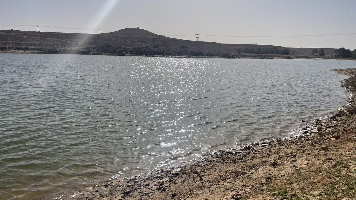 nasseralyousaf's tweet photo. على ضفاف بحيرة مدرج الرويضة .. حيث تلتقي أرض الكرم والجود بجمال الطبيعة والهدوء والسكينة
اليوم الجمعة ١١ / ٨ / ١٤٤٧هـ
#الرويضة #مكشات #طبيعة https://t.co/F7LwqfLyCW