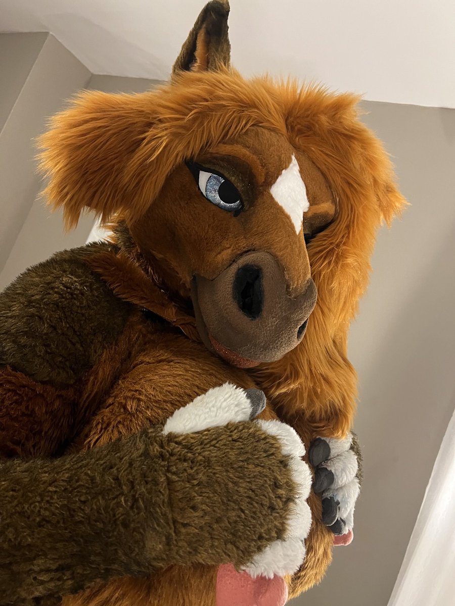 Hope your Friday goes well today. <3

#yiff #furry #fursuit #nsfw