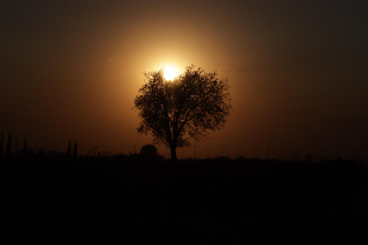 ¡Buenos días #Puebla! 🌥️ Es viernes y amanecemos con una temperatura de 7°, para este día se espera una mínima de 6 y una máxima de 24 

📸: <a href="/juliocesarmar19/">Julio César Martínez</a>