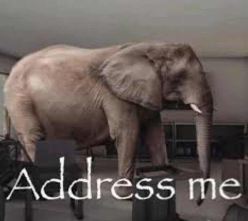 abcdfg953 tweet media