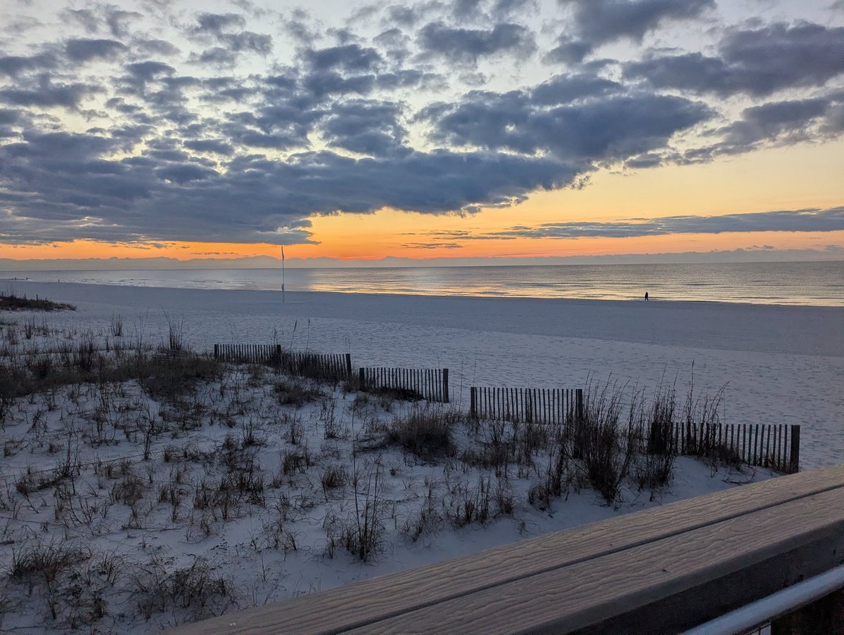 Jessica Strong tweet media