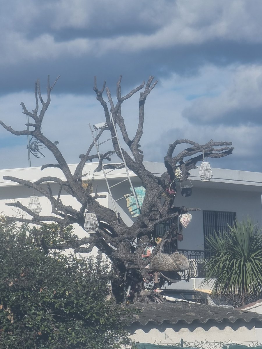 HandstandMarv tweet media