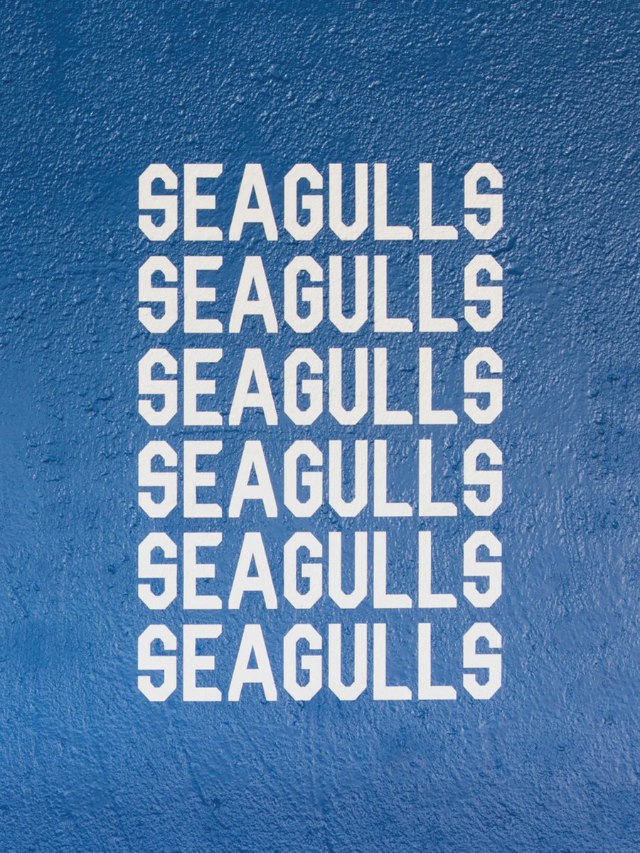 FilthyMedia tweet media