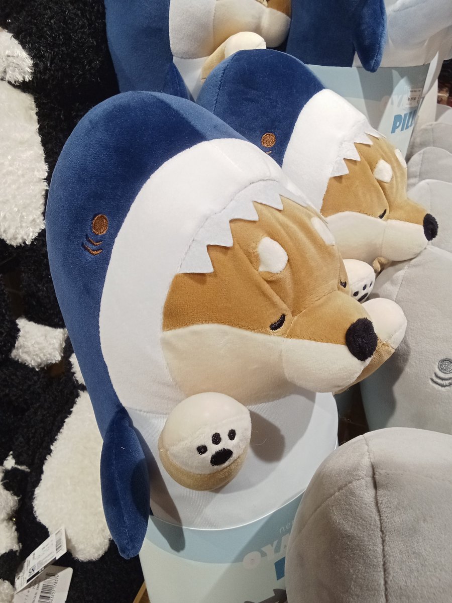 forthenuniverse's tweet image. wesley is that you? 😭