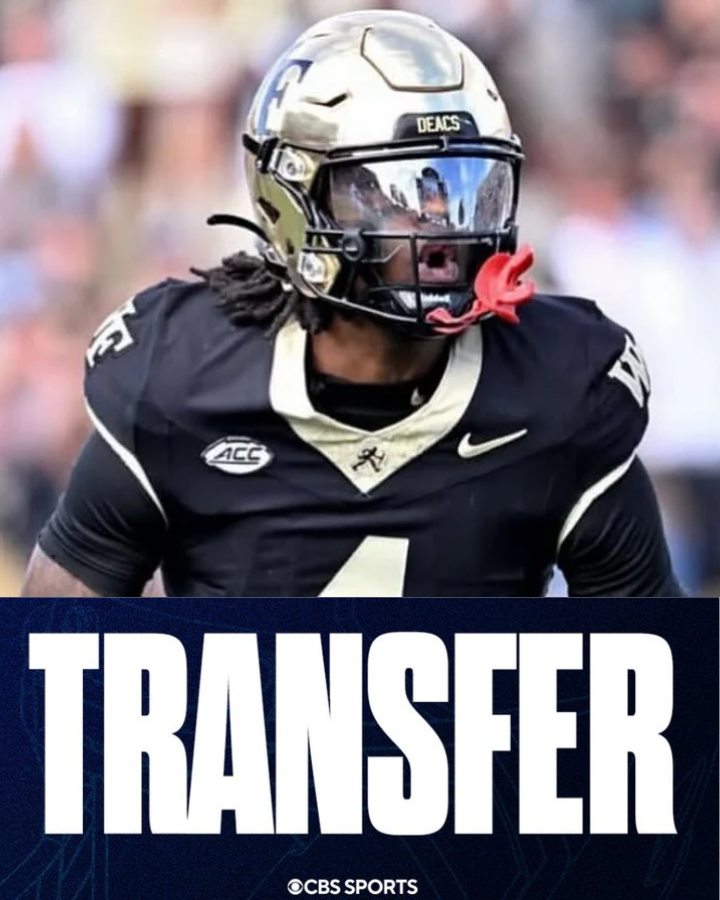 chris_hummer's tweet photo. Texas has signed Wake Forest WR transfer Sterling Berkhalter, @mzenitz, @JScruggs247 and I have learned for @CBSSports 

The 6-foot-3, 203-pound WR caught 30 passes for 416 yards and 2 TDs this season.   

https://t.co/f7rQ9pvhUv https://t.co/QxwzX2pohW