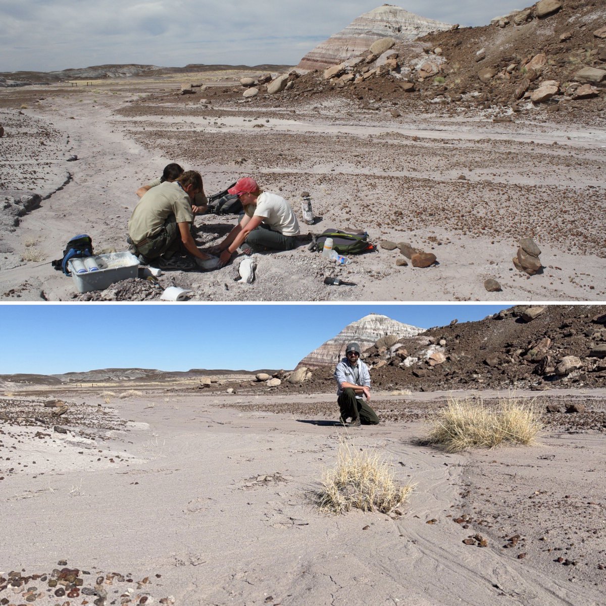 Adam Marsh tweet media