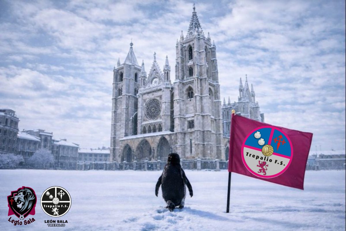 Trepalio León Sala tweet media