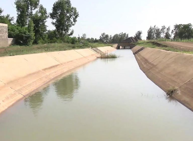 Olemutai tweet media