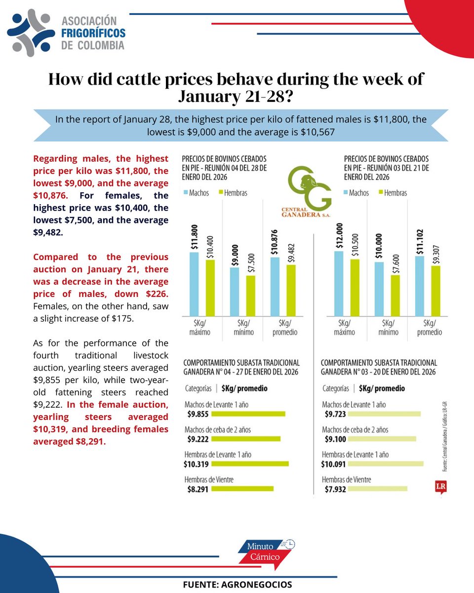 Asofrigorificos's tweet image. Así se han comportado los precios del ganado en la semana del 21 al 28 enero 2026 en Colombia.