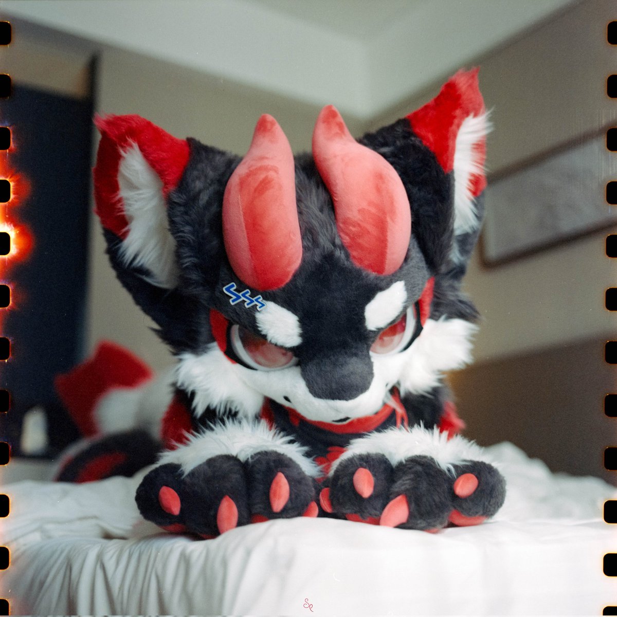 黑小焱 tweet media