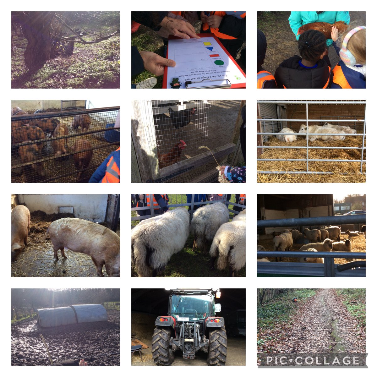 Foxfield - Reception tweet media