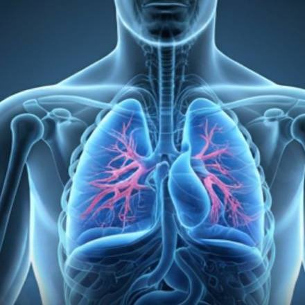 OGreat6's tweet image. HOW TO BOOST YOUR IMMUNE SYSTEM

Doing these things that you probably hear everyday can boost your immunity

- Eat healthy foods  
Choose fruits, vegetables, whole grains, lean meats, and healthy fats. Foods high in vitamins C and E, zinc, and antioxidants can help your immune…