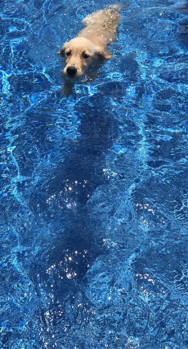 jardelito's tweet image. abra as imagens e tenha 4 surpresas