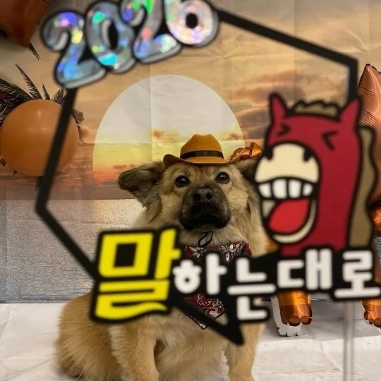 아 ㅁㅊㅋㅋㅋㅋㅋㅋㅋㅋㅋㅋㅋㅋㅋㅋㅋㅋㅋㅋㅋㅋㅋㅋㅋㅋㅋㅋㅋㅋ